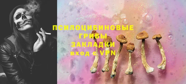 крисы Дмитров