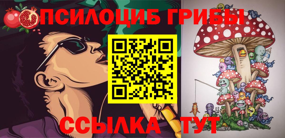 Псилоцибиновые грибы Cubensis Губаха