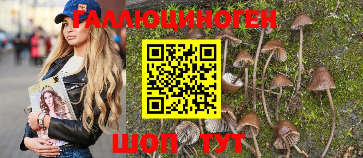 Псилоцибиновые грибы MAGIC MUSHROOMS  Псилоцибиновые грибы Psilocybine cubensis  Губаха 