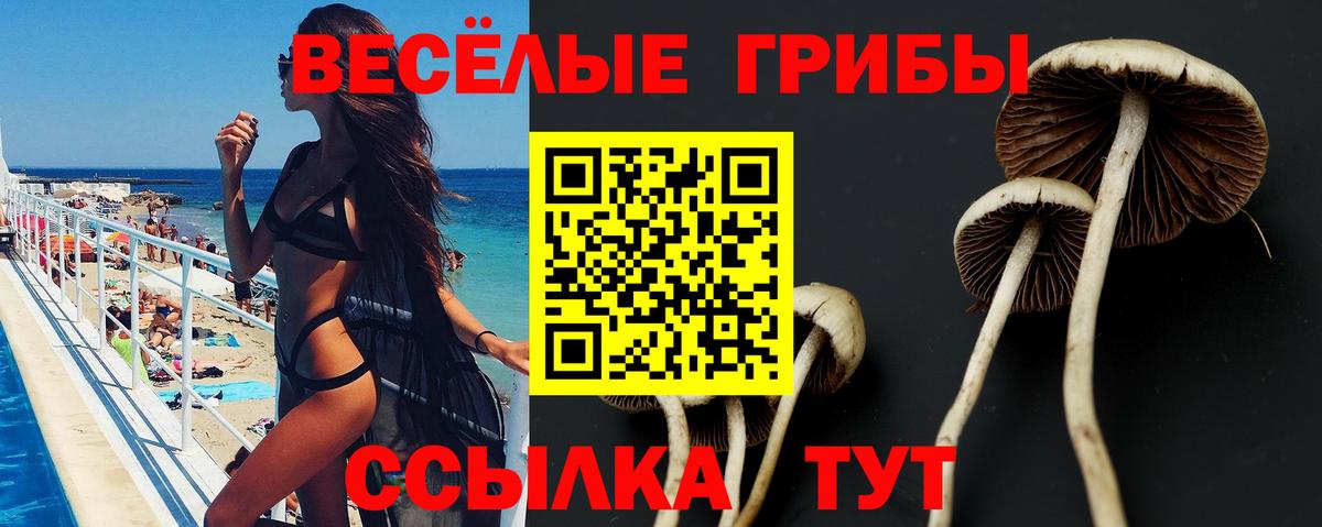 Галлюциногенные грибы GOLDEN TEACHER Губаха