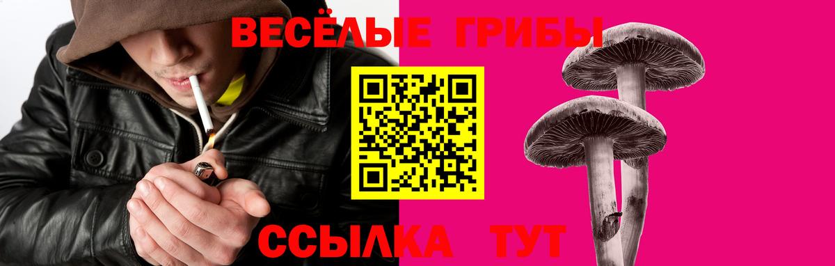 ГАШИШ  Каннабис  LSD-25  Cocaine  Вход с VPN  Губаха  Мефедрон   Гашиш 